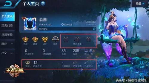 王者之辉最新爆料,揭秘最新爆料，游戏界新篇章即将开启！